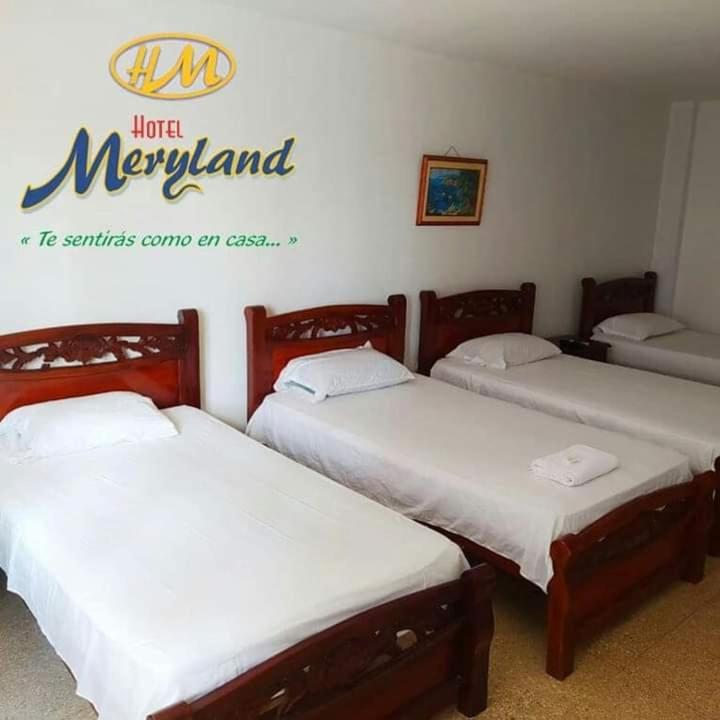 Hotel Meryland 辛塞莱霍 外观 照片